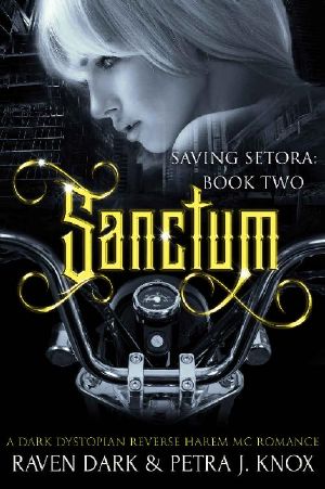 [Saving Setora 02] • Sanctum · Saving Setora (Book Two) (Dark Dystopian Reverse Harem MC Romance)